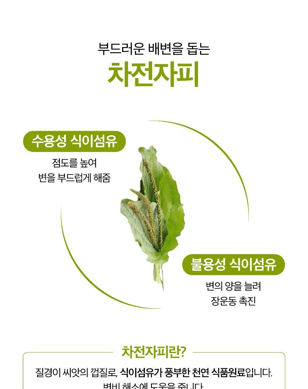 [1세대 차전자피] 잘록 비우다 매실맛 20포 (20일분) 상세페이지 11